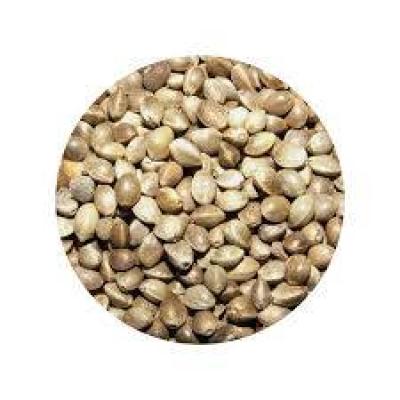 شاهدانه خام فله